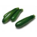 Courgette verte